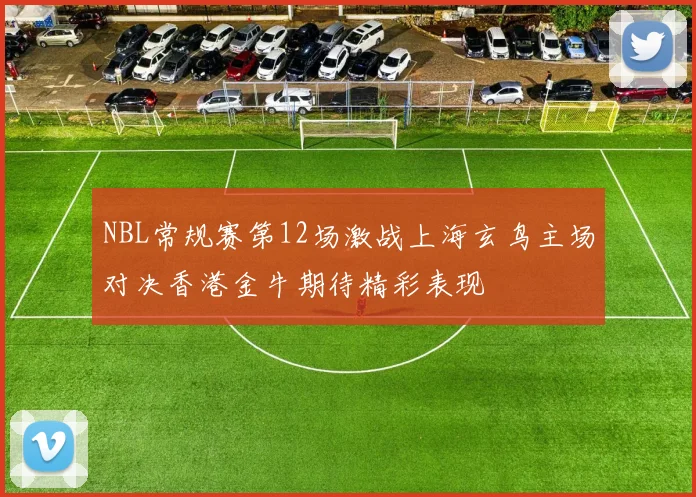 NBL常规赛第12场激战上海玄鸟主场对决香港金牛期待精彩表现
