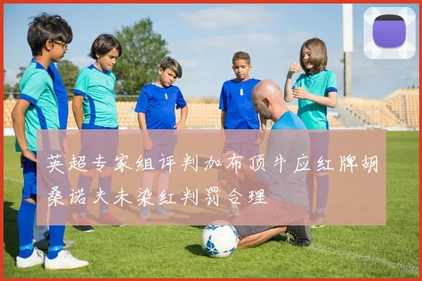 英超专家组评判加布顶牛应红牌胡桑诺夫未染红判罚合理